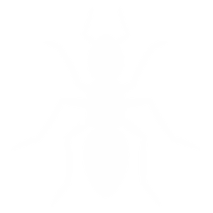 Ants
