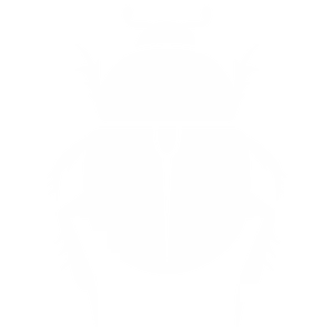 Bed bugs
