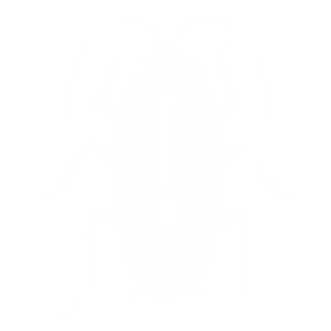 Cockroach