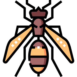 Hornets