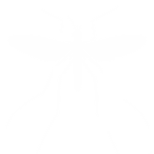 Mosquitoes