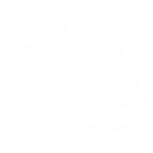 Rodents